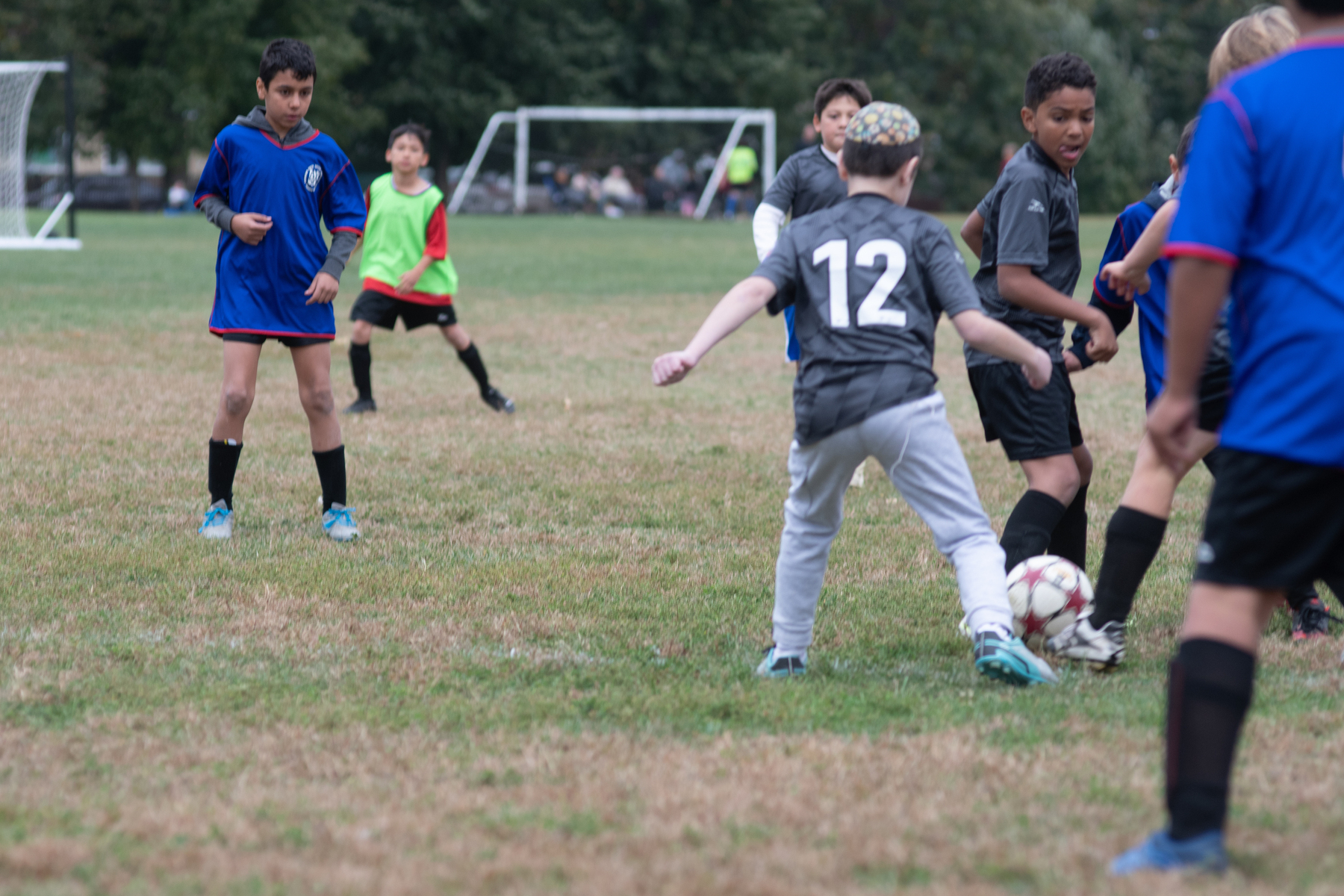 A group of kids is playing soccer on a grassy field, with some wearing blue jerseys and others wearing gray.